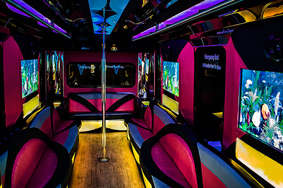 pink limo bus service