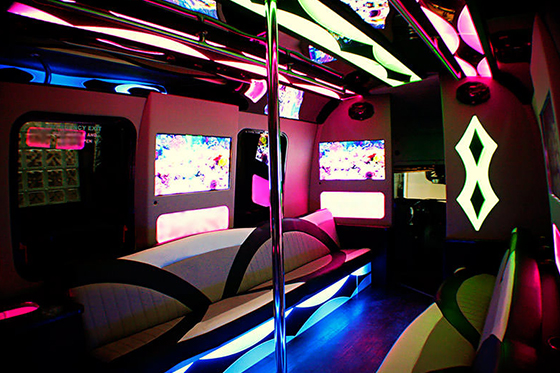 18 passenger party bus