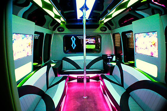 18 passenger party bus