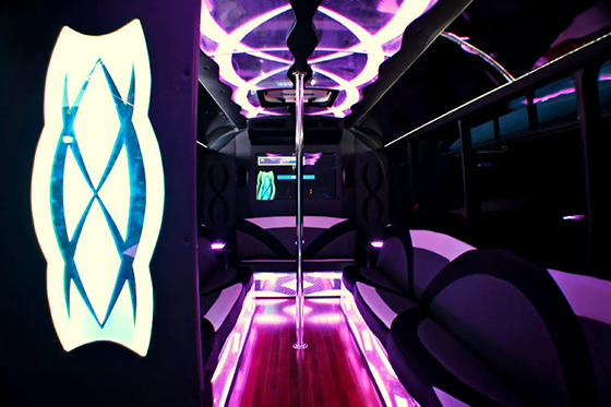 22 passenger party bus