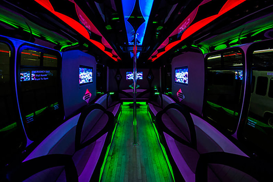 24 passenger party bus