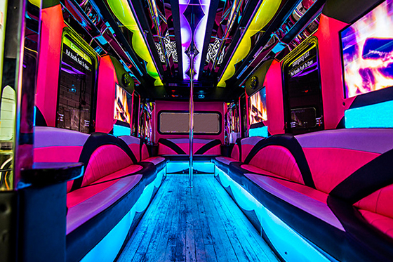 24 passenger party bus