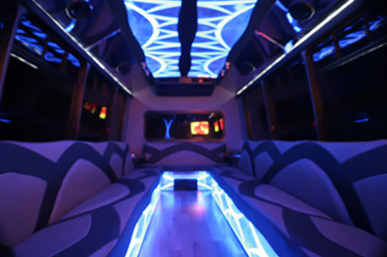 25 passenger party bus