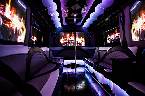 30 passenger party bus